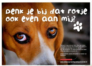 Hond044[1]
